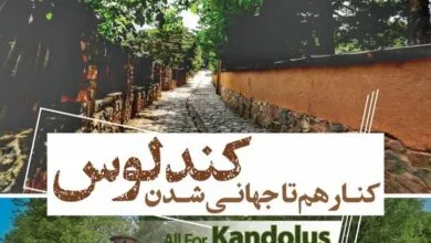 ارتباط فرهنگی