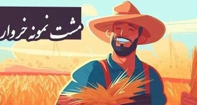 معنی ضرب المثل مشت نمونه خروار است