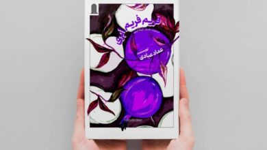 «فریم فریم ابری» به بازار نشر رسید