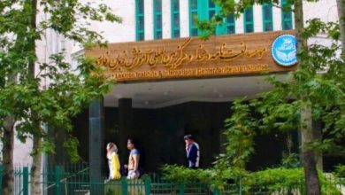 وزارت علوم به دهخدا رتبه «عالی» داد وزارت علوم به دهخدا رتبه «عالی» داد